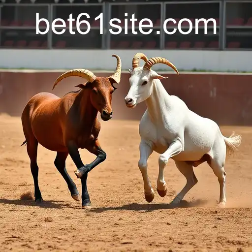 Rinha de galos